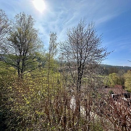 Natur Pur - Waldurlaub Im Tiny House Ronshausen 外观 照片