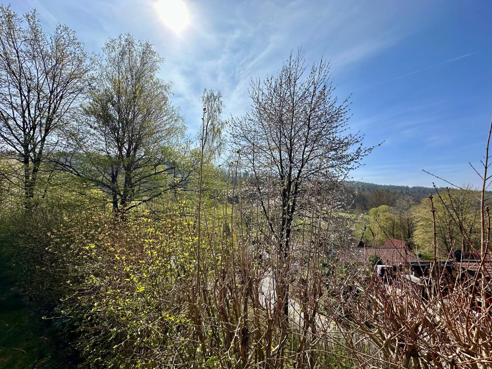 Natur Pur - Waldurlaub Im Tiny House Ronshausen 外观 照片